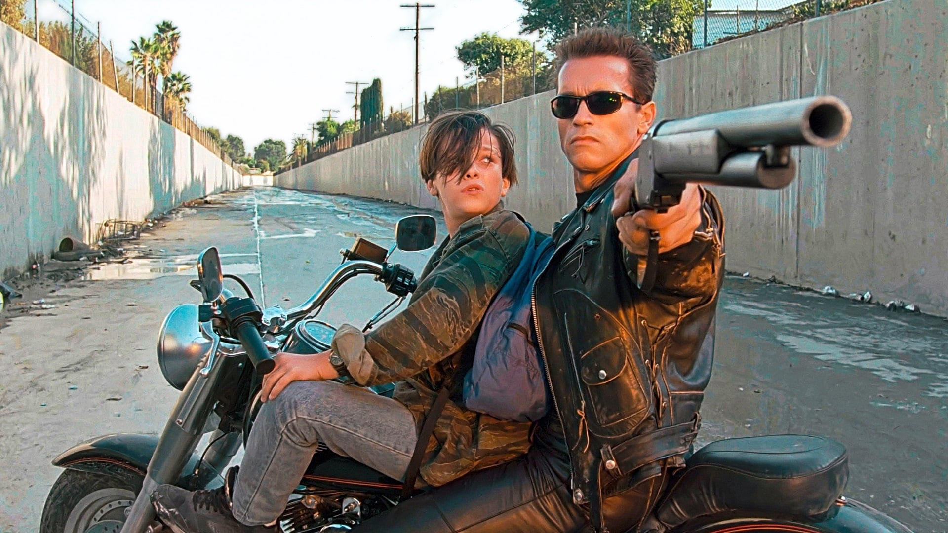 Terminator 2: Judgement Day (1991)